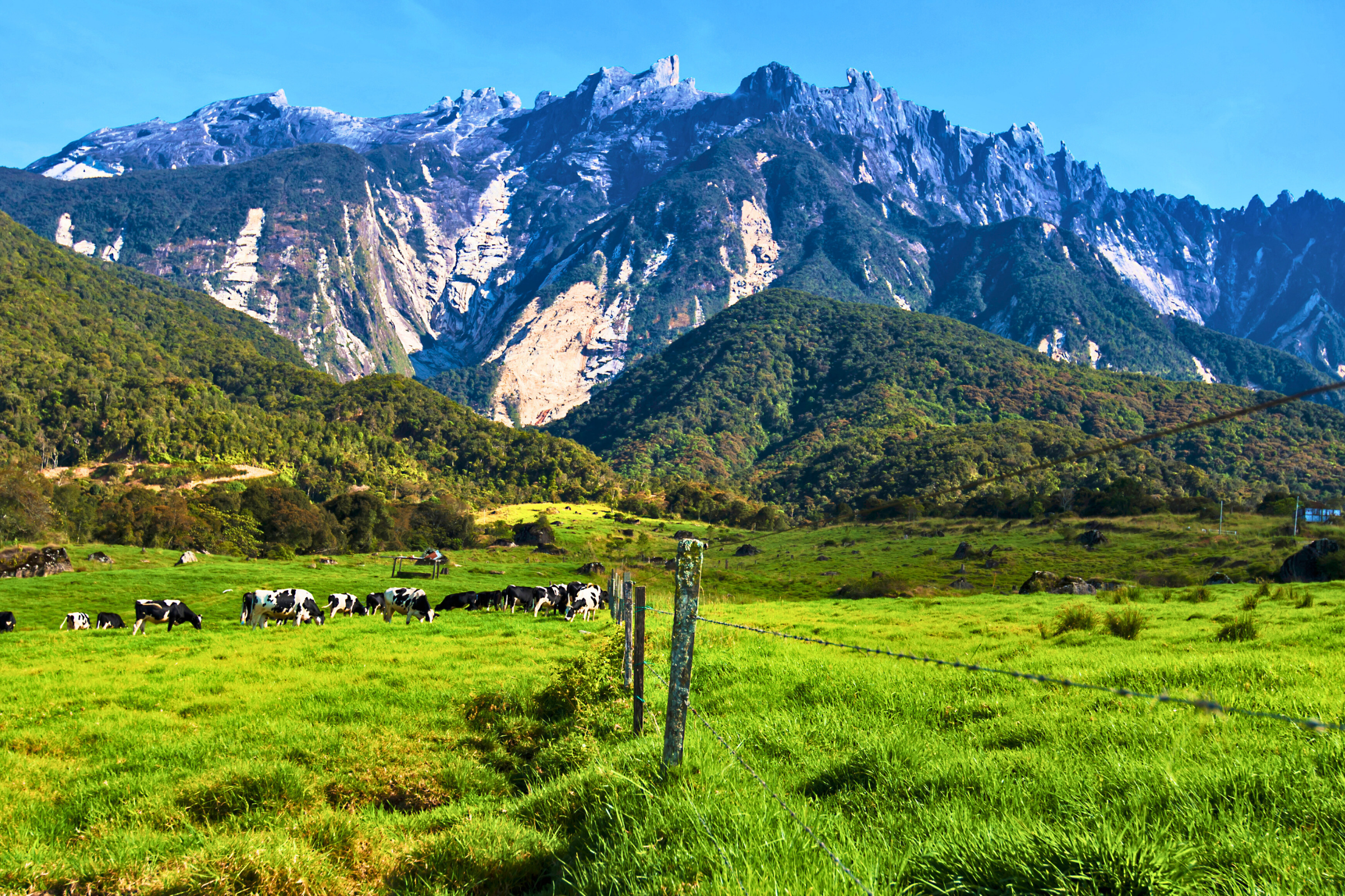 kinabalu national park (2).webp